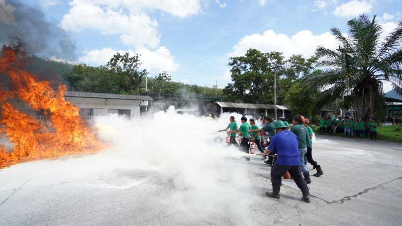 Organized the fire training and fire evacuation drills for the year 2019